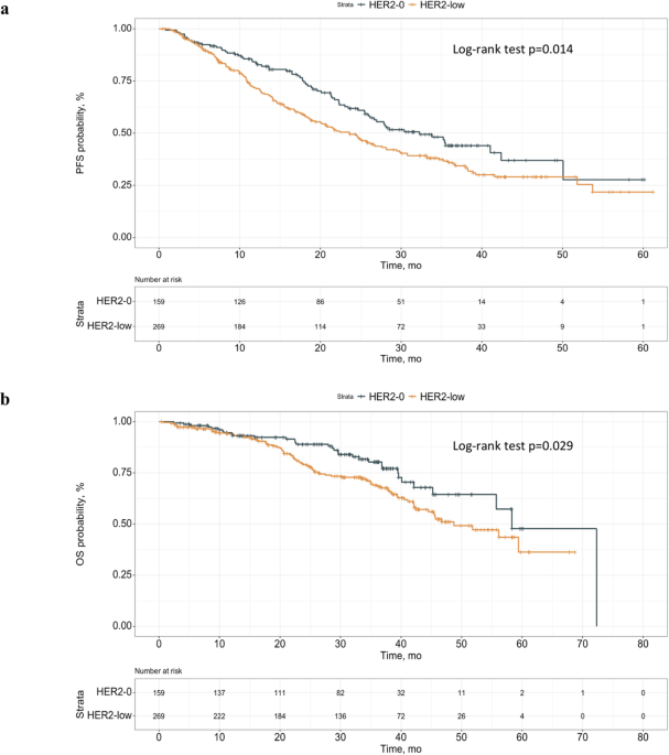 Prognostic significance of HER2-low status in HR-positive/HER2-negative advanced breast cancer treated with CDK4/6 inhibitors - npj Breast Cancer