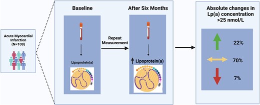 Lipoprotein(a) concentrations in acute myocardial infarction patients are not indicative of levels at six month follow-up
