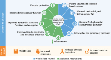 Design and Baseline Characteristics of STEP-HFpEF Program Evaluating Semaglutide in Patients With Obesity HFpEF Phenotype