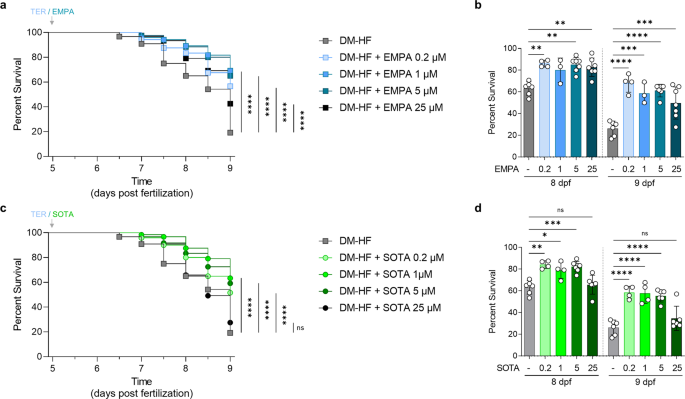 Comparison of the effects of empagliflozin and sotagliflozin on a zebrafish model of diabetic heart failure with reduced ejection fraction - Experimental & Molecular Medicine