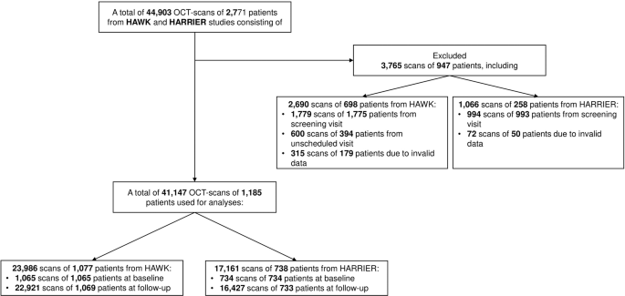 Performance of retinal fluid monitoring in OCT imaging by automated deep learning versus human expert grading in neovascular AMD - Eye