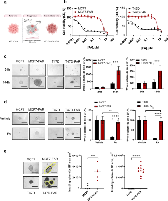 Pak1 pathway hyper-activation mediates resistance to endocrine therapy and CDK4/6 inhibitors in ER+ breast cancer - npj Breast Cancer