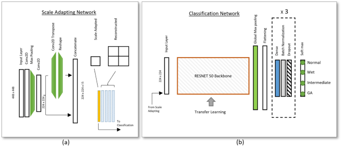 Scale-adaptive model for detection and grading of age-related macular degeneration from color retinal fundus images - Scientific Reports