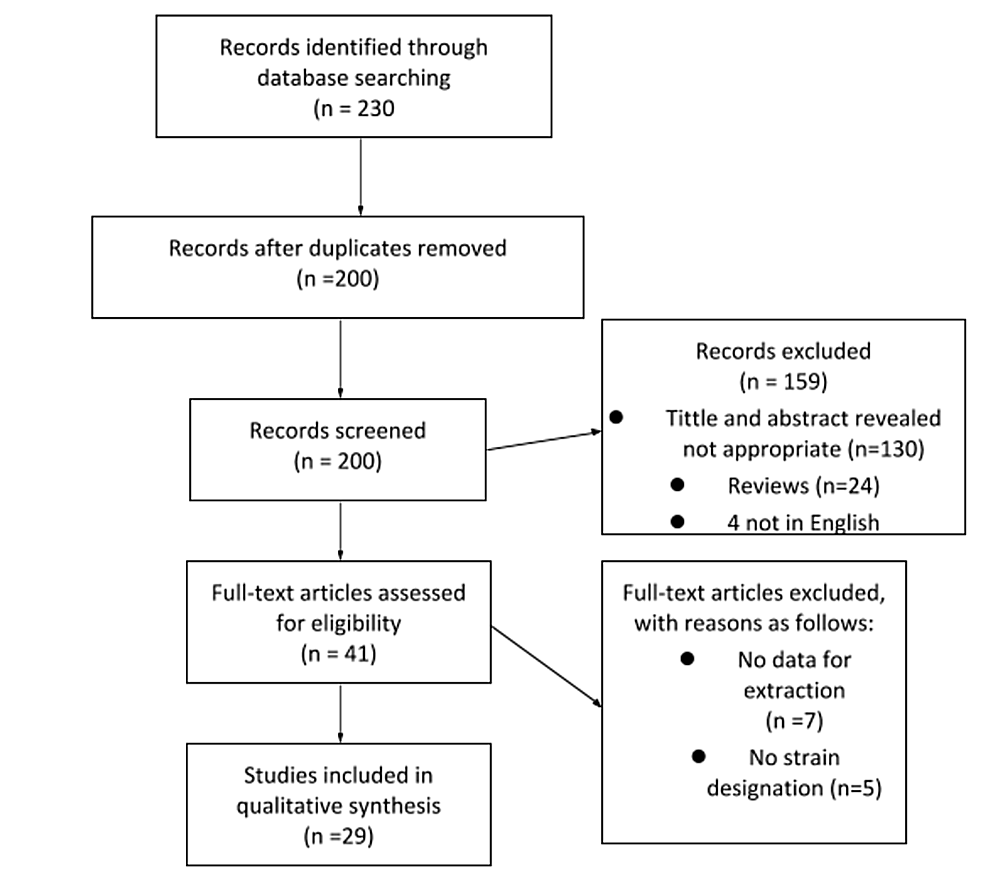 Qualitative Analysis of the Efficacy of Probiotic Strains in the Prevention of Antibiotic-Associated Diarrhea