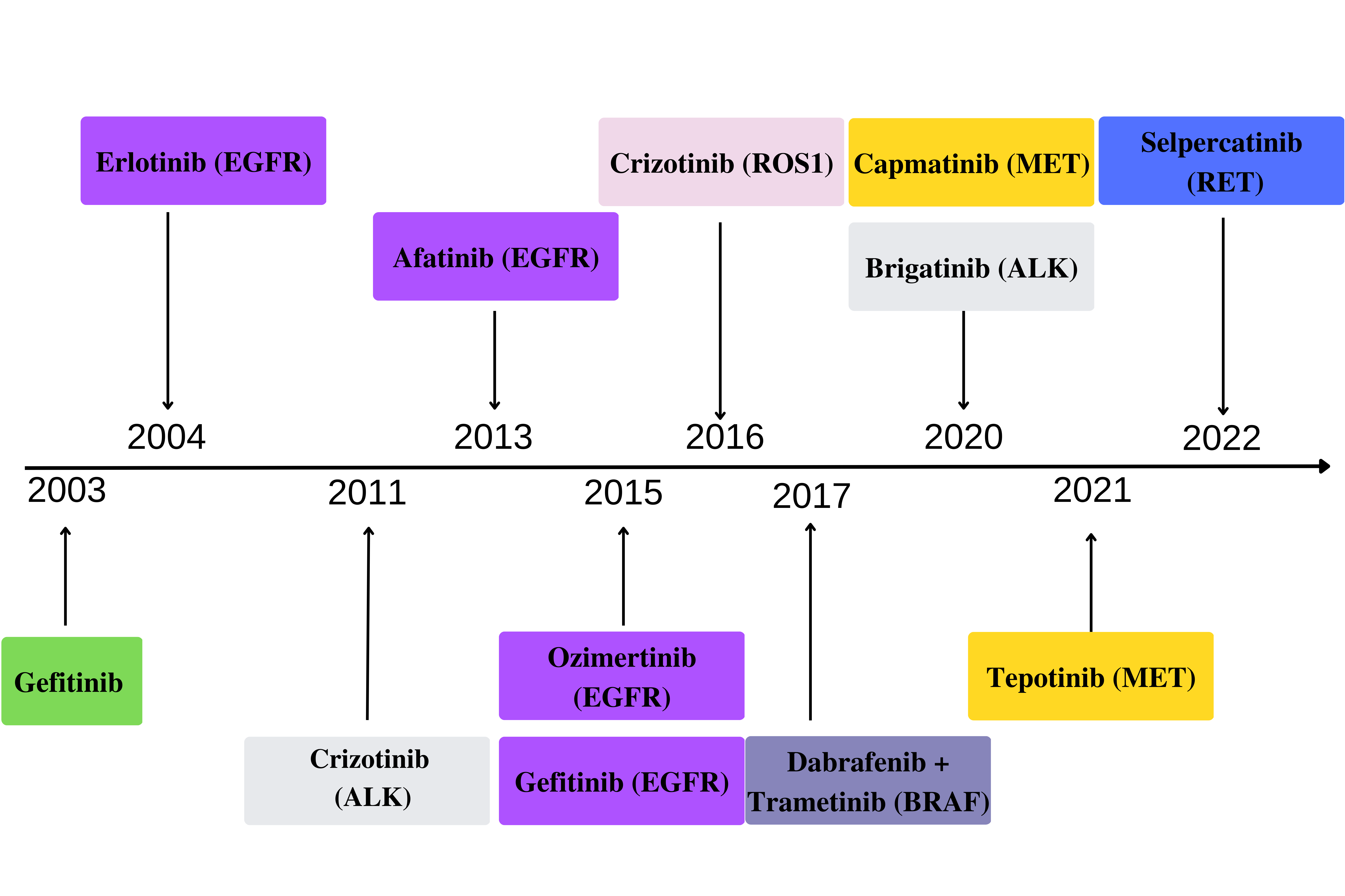 Molecular alterations of driver genes in non-small cell lung cancer