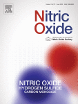l-Arginine/nitric oxide pathway and oxidative stress in adults with ADHD: Effects of methylphenidate treatment