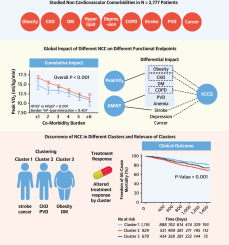 Distinct Impact of Noncardiac Comorbidities on Exercise Capacity and Functional Status in Chronic Heart Failure